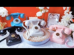 Вечные воспоминания Свадебная гостевая книга Телефонная запись Сообщение Свадебная гостевая книга